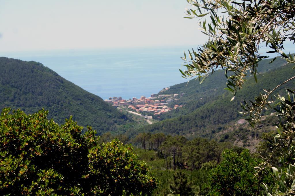 Hotel 5 Terre Nel Sole Deiva Marina Eksteriør billede